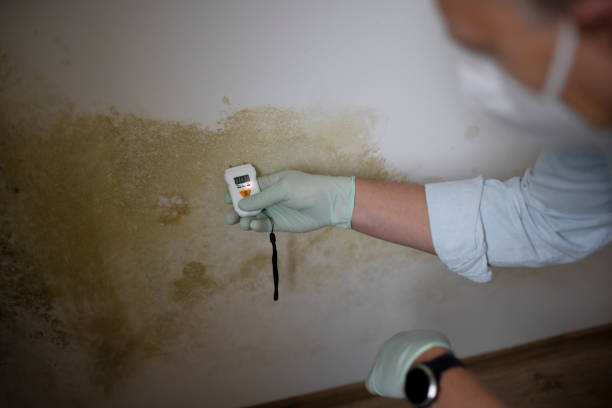 Water Damage Restoration in Fort Campbell North, KY