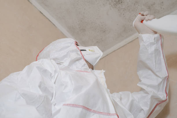 Best Toxic Mold Removal  in Fort Campbell North, KY